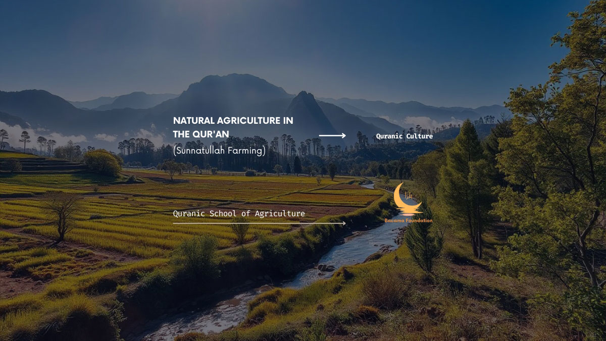 Featured image for “Natural Agriculture in the Qur’an (Sunnatullah Farming)”